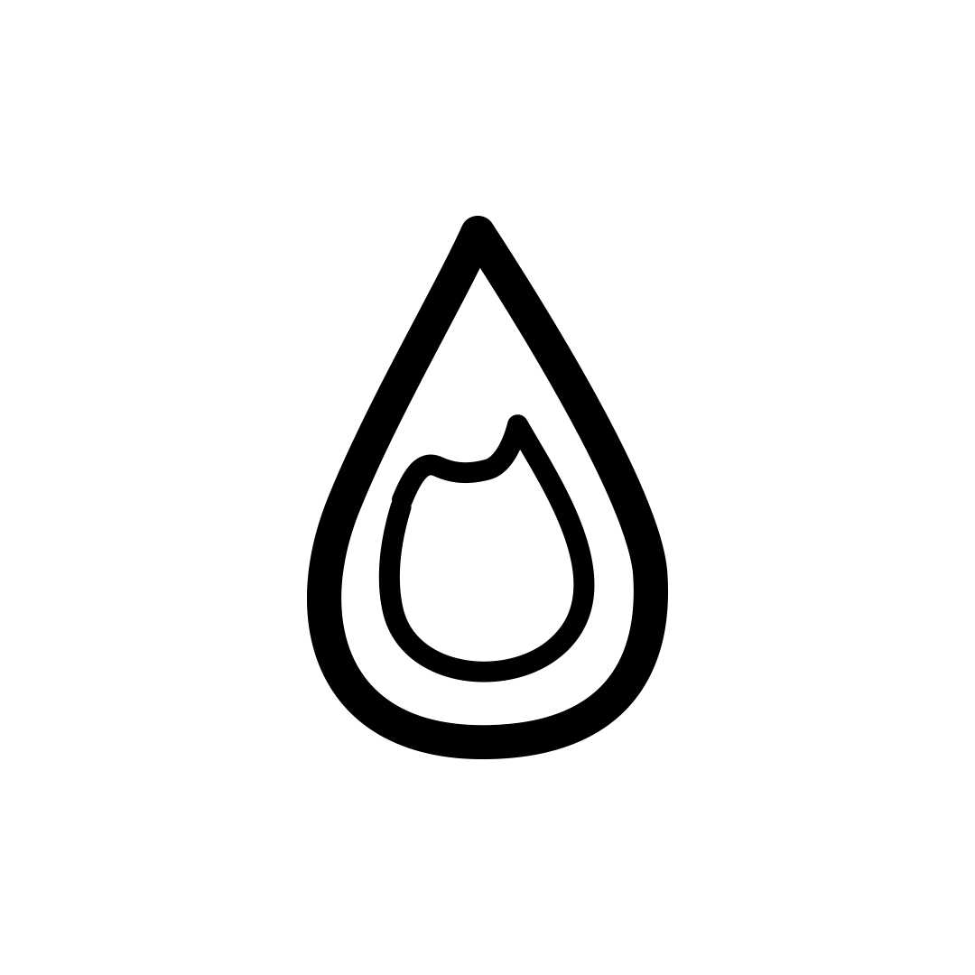 Chlorophyll Concentration