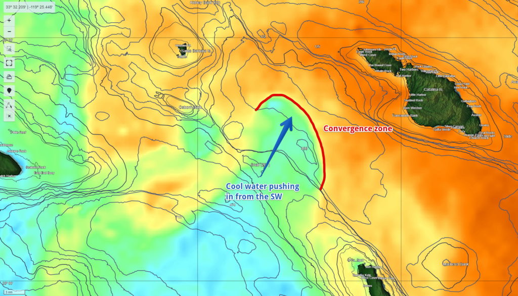 satellite sea surface temperature (sst) image showing a convergence zone