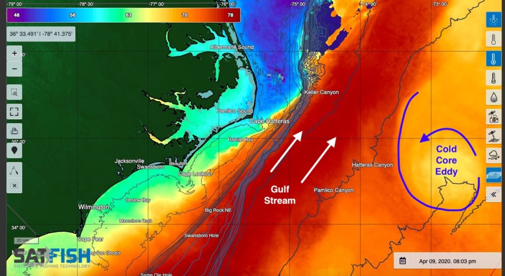 Sea Surface Temperature showing Gulf Stream and cold core eddy