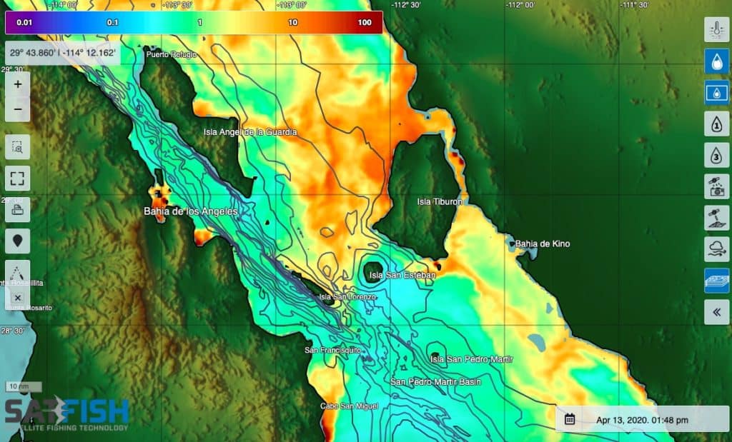 SatFish Bahia de Los Angeles chlorophyll concentration fishing map