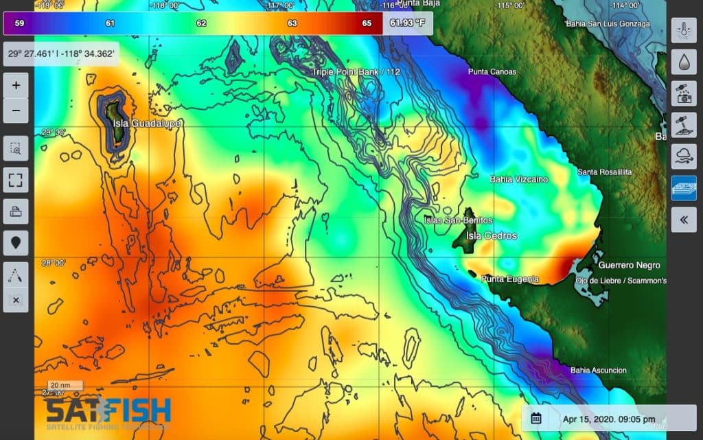 SatFish Cedros and Guadalupe Is. cloud-free sea surface temperature fishing map