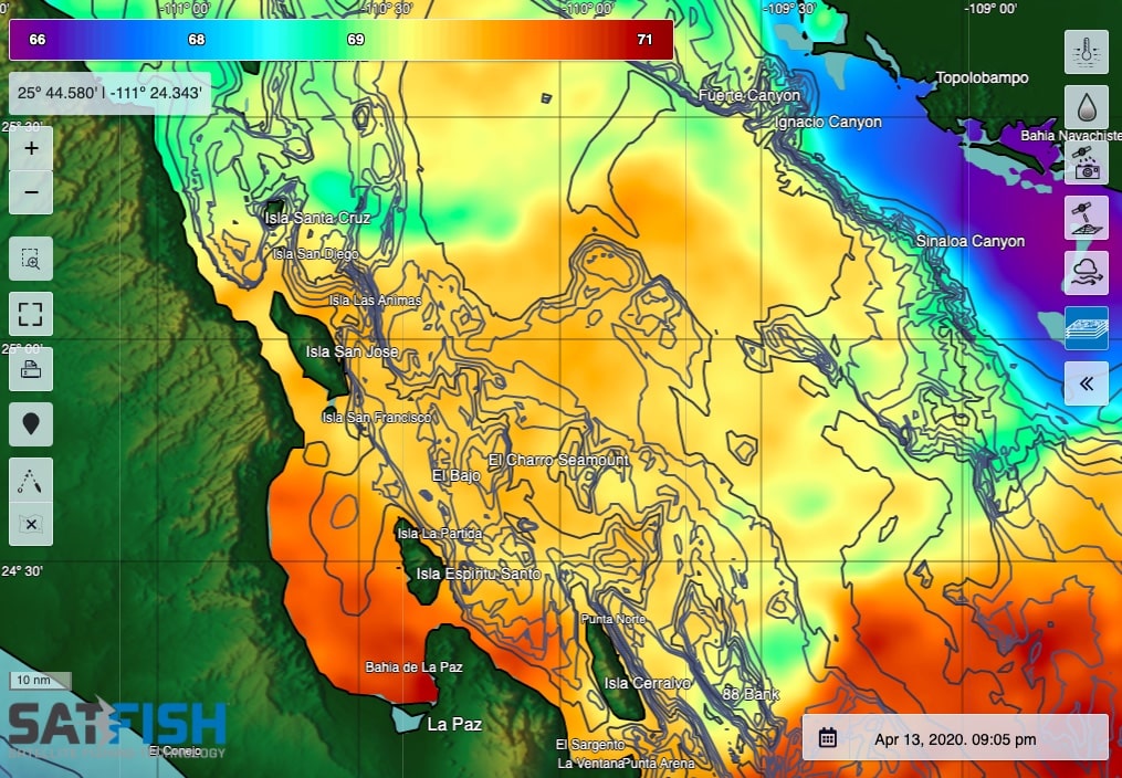 SatFish La Paz cloud-free sea surface temperature (SST) fishing map
