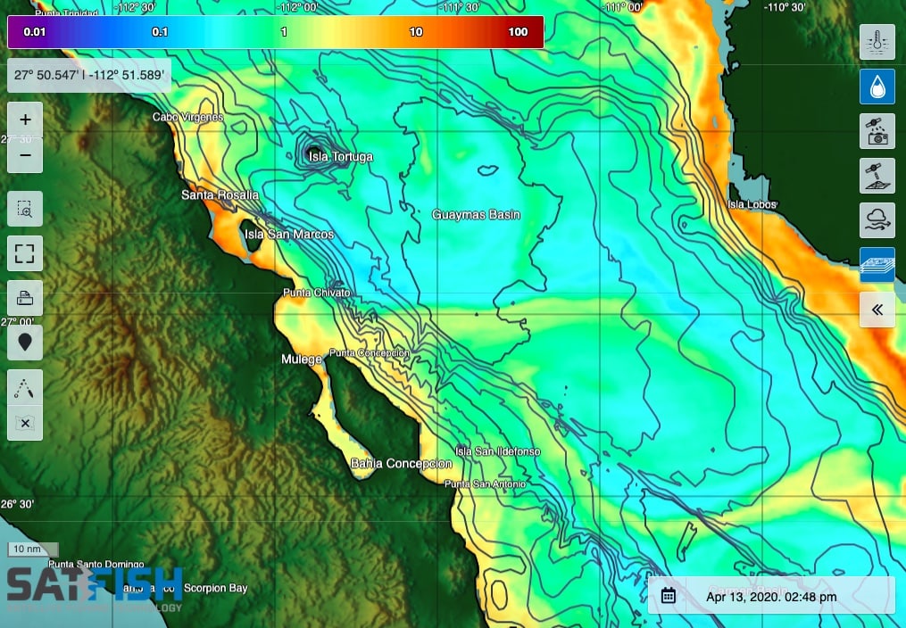 SatFish Mulege and Santa Rosalia chlorophyll fishing map