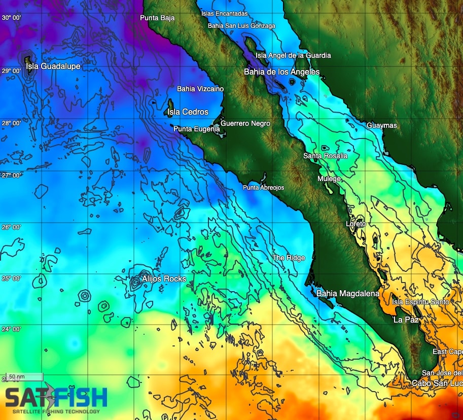 SatFish Baja Overview cloud-free sea surface temperature (SST) fishing map