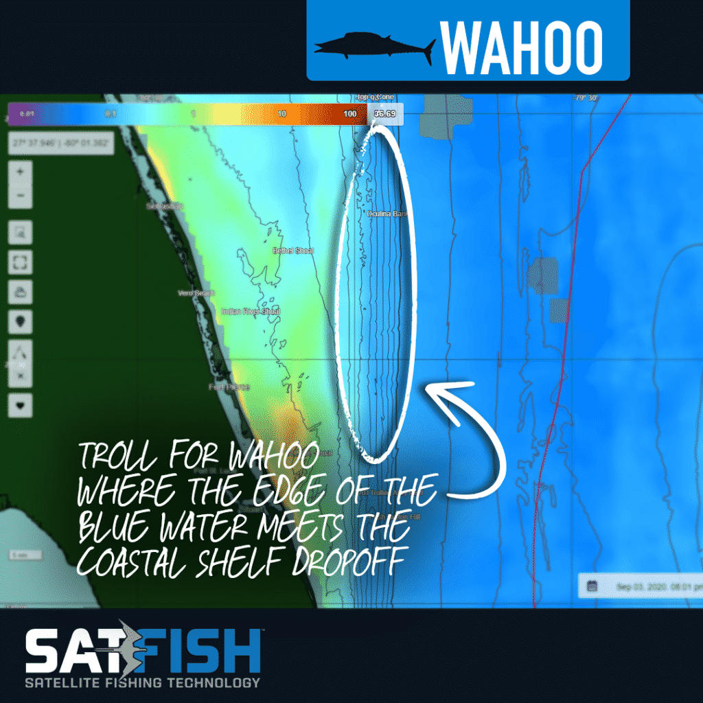 How to catch wahoo using SatFish charts