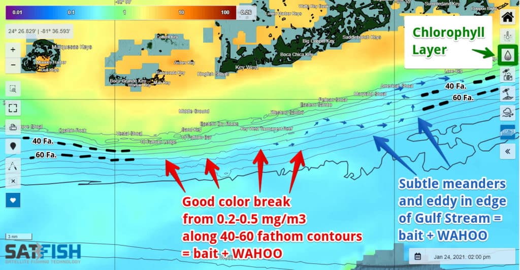 how to catch wahoo using Satfish chlorophyll layer in the Florida Keys