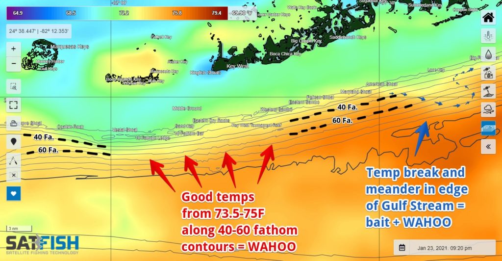 how to catch wahoo using Satfish sea surface temperature (SST) layer in the Florida Keys