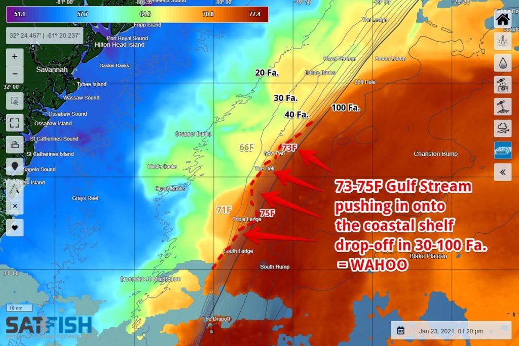 How to catch wahoo using SatFish sea surface temperature (SST) in Georgia