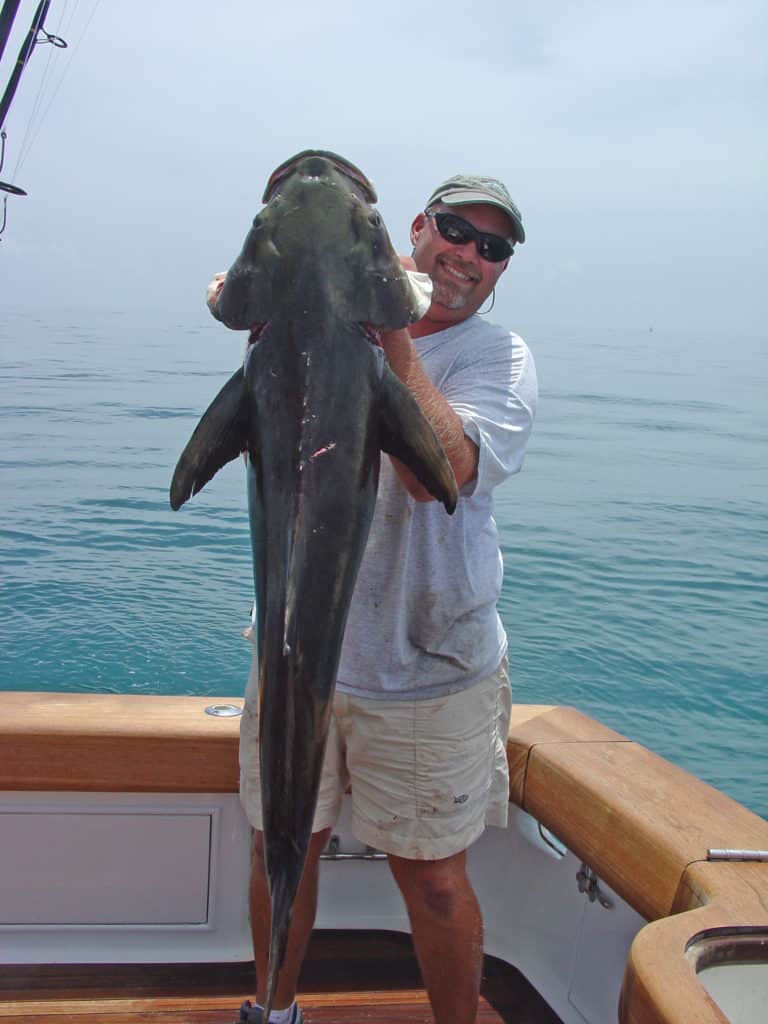 use Satfish maps to find productive fishing grounds for big cobia like this one