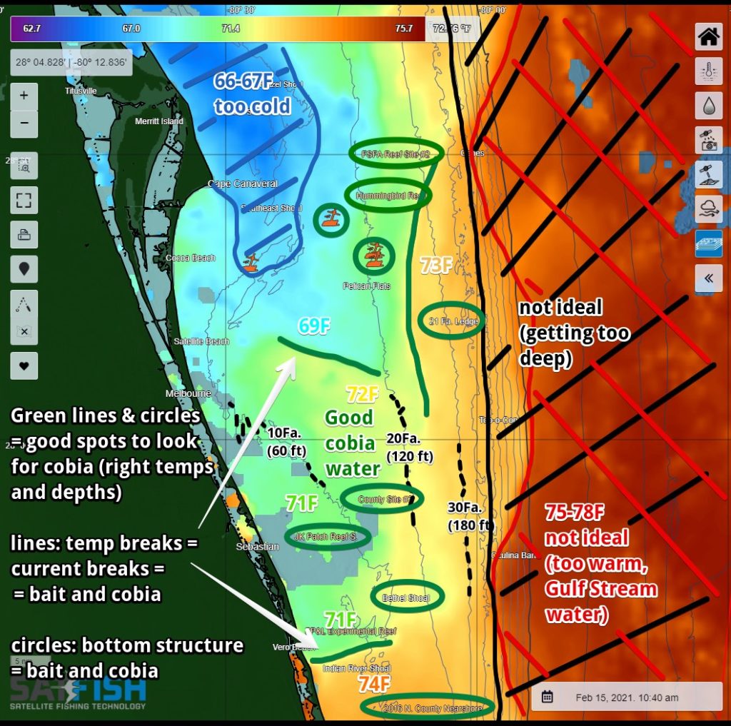 How to find water conditions for cobia in Florida using Satfish SST charts