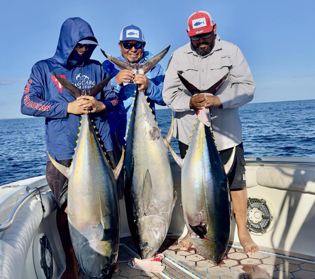 Capt. Arturo Chacon and Tag Cabo Sportfishing in Cabo San Lucas, BCS, Mexico catching three big yellowfin tuna