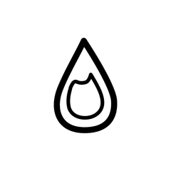 Chlorophyll Concentration