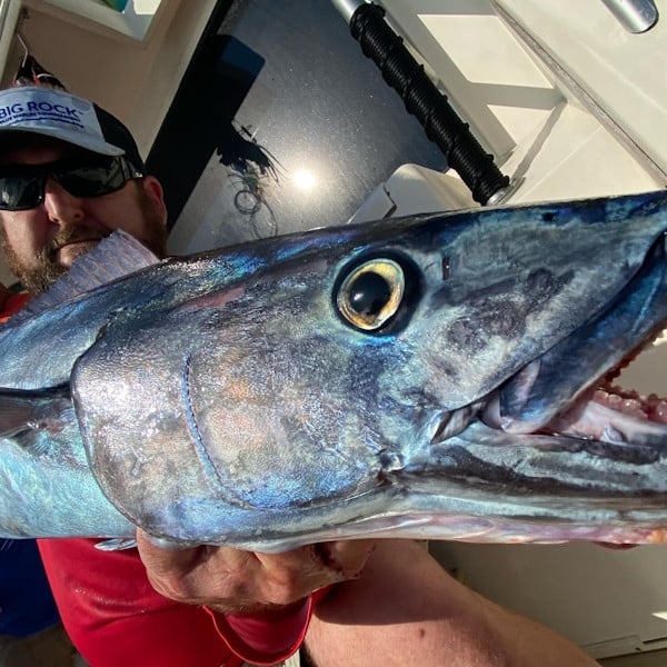 wahoo caught using SatFish offshore fishing charts by x_rayted_fishing_team in North Carolina