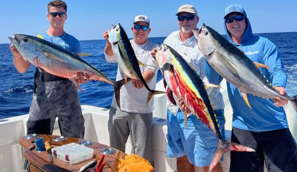Finding Yellowfin Off Floridas East Coast