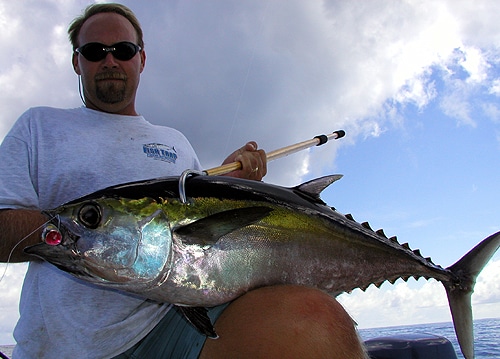 The Modern Era Of Blackfin Tuna Fishing