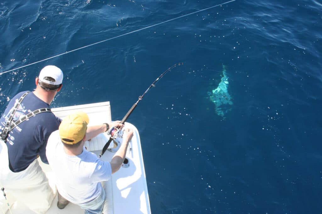 angler fighting bluefin at deep color