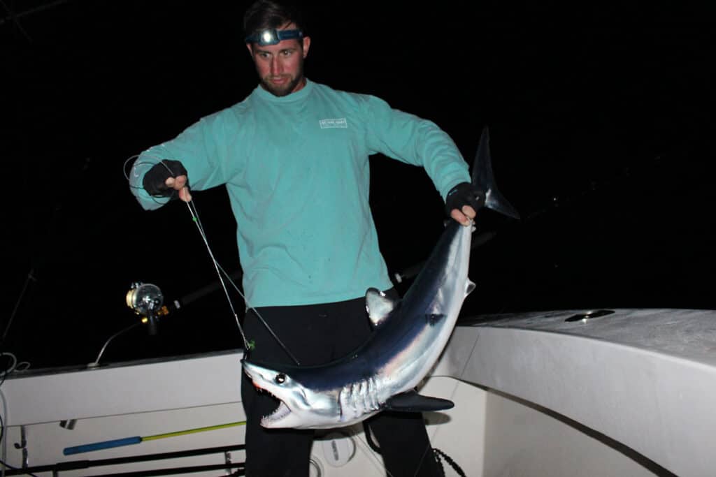 angler hold up small mako shark caught during a nighttime offshore fishing trip