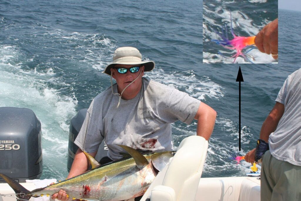 Angler with a large yellowfin tuna caught using the Dangler Rig.