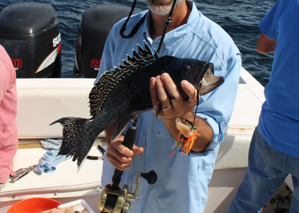 angler shows off the black sea bass he caught.