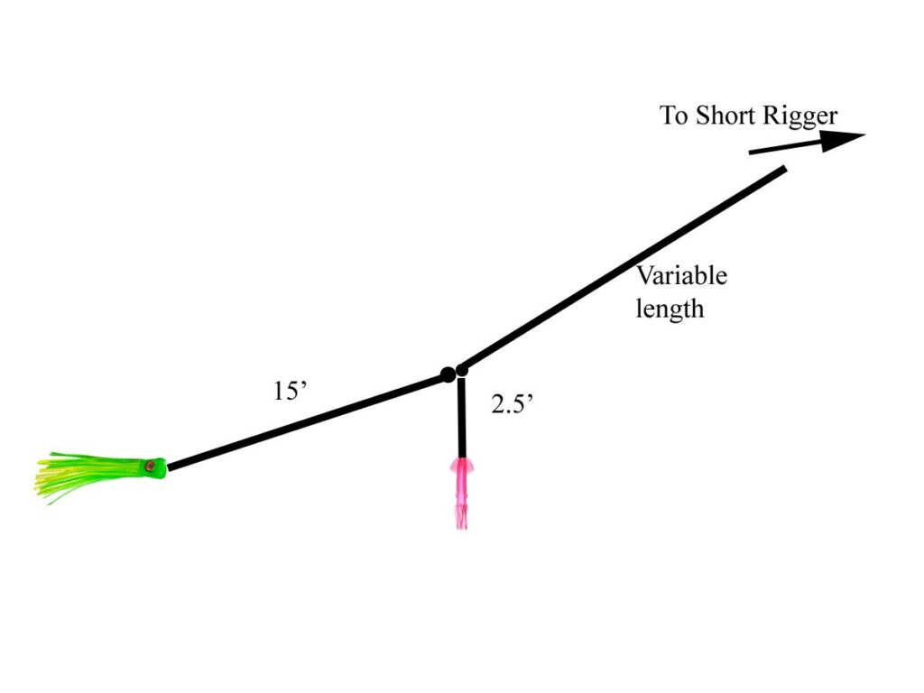 Dangler rig overview