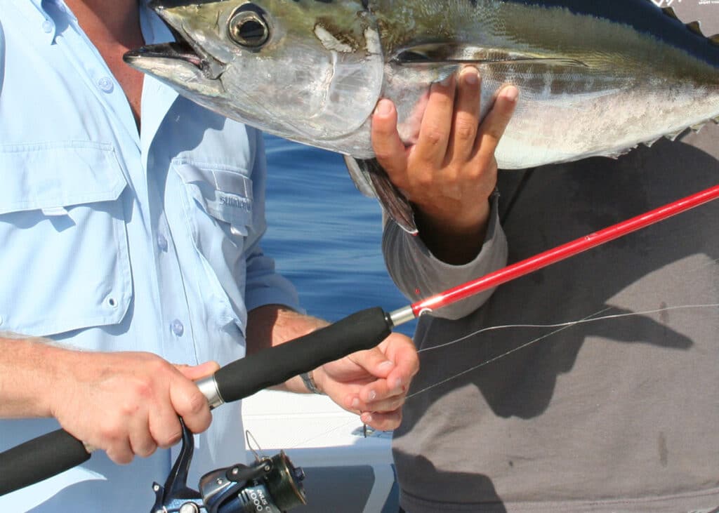 man holds up blackfin tuna with another man holding the fishing rod and reel that he caught the fish on.