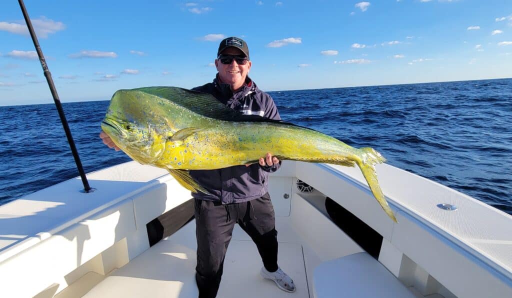 Plan B: Keeping Your Options Open