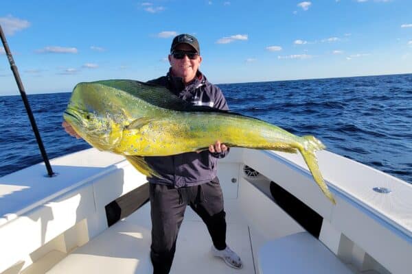 man holds large dorado (mahi-mahi)