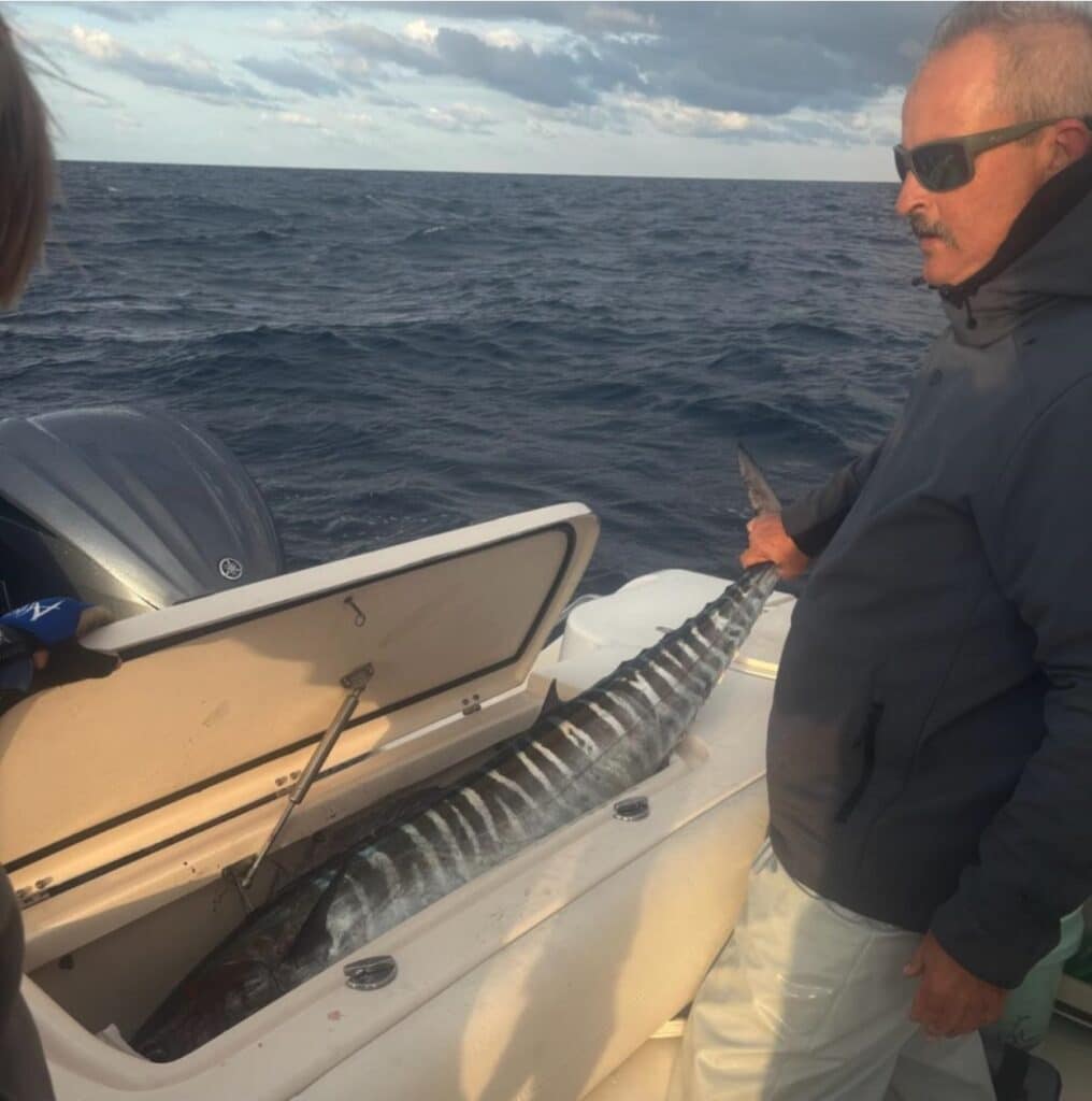 angler places recently caught wahoo in fish box on the back of a fishing boat.