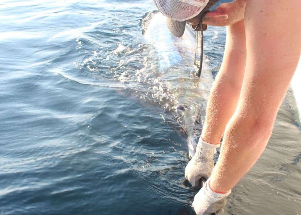 Raw vs. High-Def vs. Cloud Free vs. Three-day Composites 