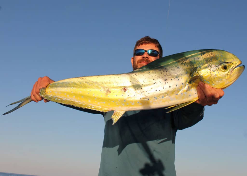 Early Season Mahi in the Mid-Atlantic