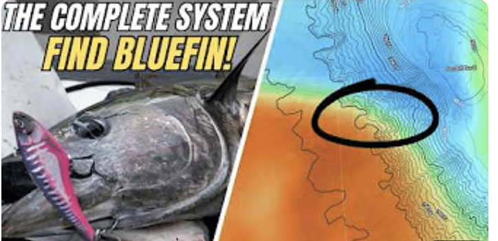 How To Find Bluefin Tuna Offshore Using Satellite Maps (Complete Breakdown) | D&D Fishing