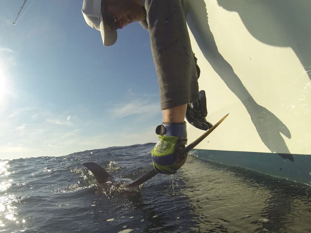 Up, Down, and All Around: Sea Surface Altimetry and Why It Matters
